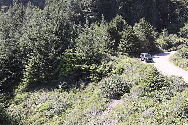 Whaleshead Beach 057