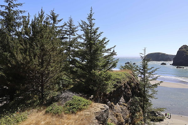 Whaleshead Beach 053