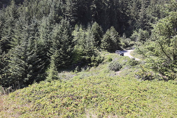 Whaleshead Beach 041