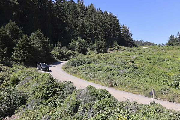 Whaleshead Beach 049