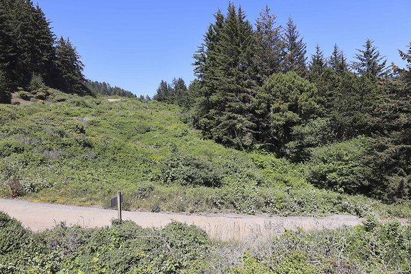 Whaleshead Beach 021