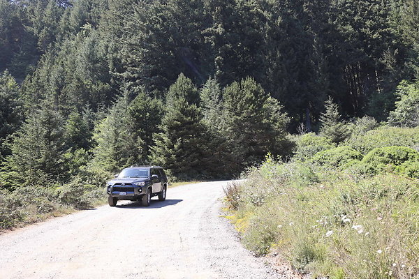 Whaleshead Beach 015