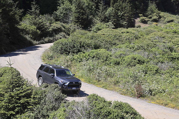 Whaleshead Beach 019