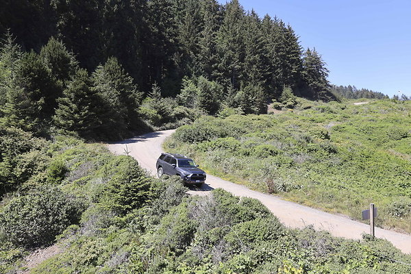 Whaleshead Beach 020