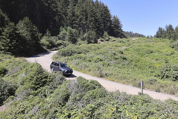 Whaleshead Beach 017