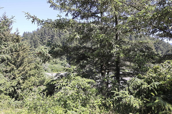 Whaleshead Beach 036