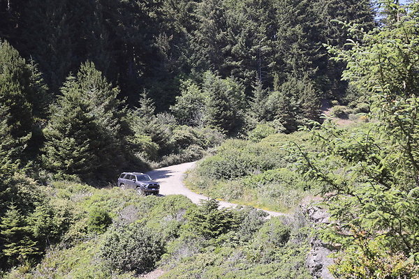 Whaleshead Beach 032