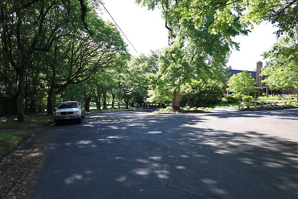 Crystal Springs NS 006