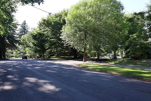 Crystal Springs NS 073