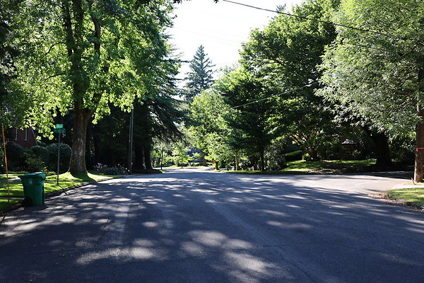 Crystal Springs NS 069