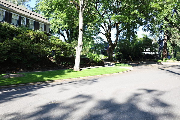 Crystal Springs NS 017