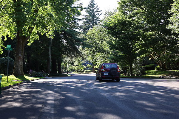 Crystal Springs NS 071