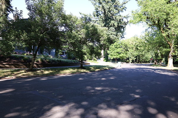 Crystal Springs NS 031