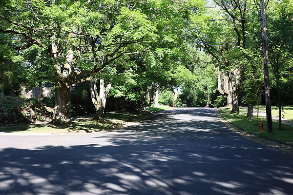 Crystal Springs NS 004