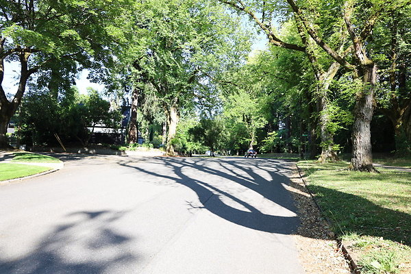 Crystal Springs NS 018