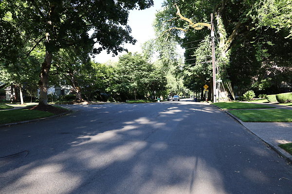 Crystal Springs NS 082