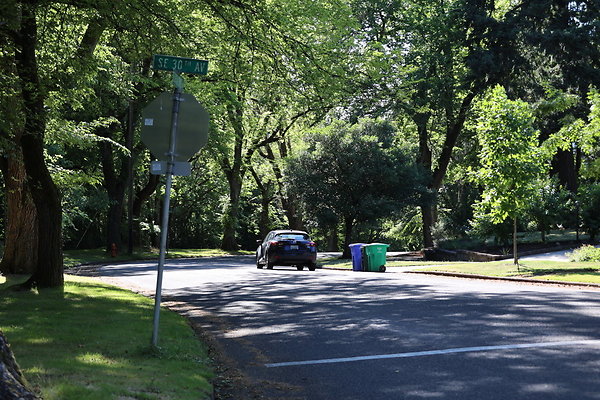 Crystal Springs NS 049