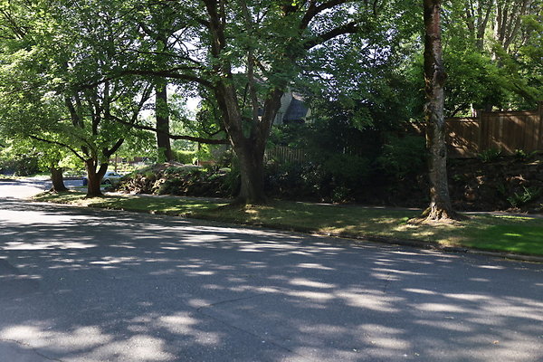 Crystal Springs NS 015