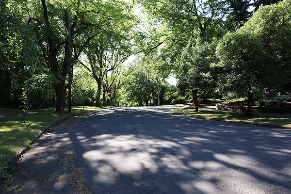 Crystal Springs NS 033