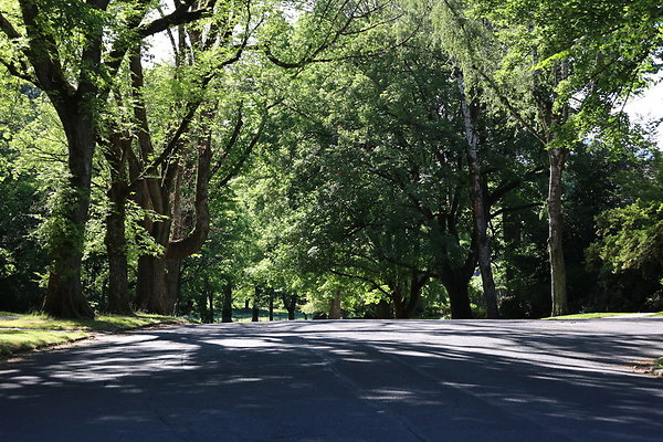 Crystal Springs NS 034