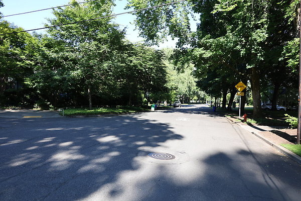 Crystal Springs NS 088