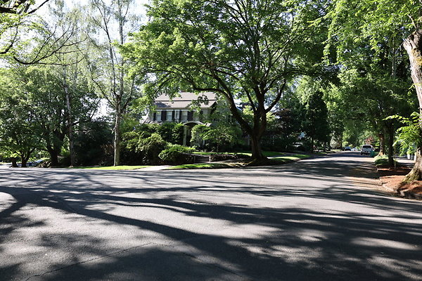 Crystal Springs NS 028