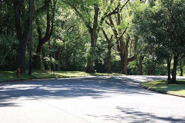 Crystal Springs NS 041