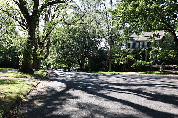 Crystal Springs NS 027