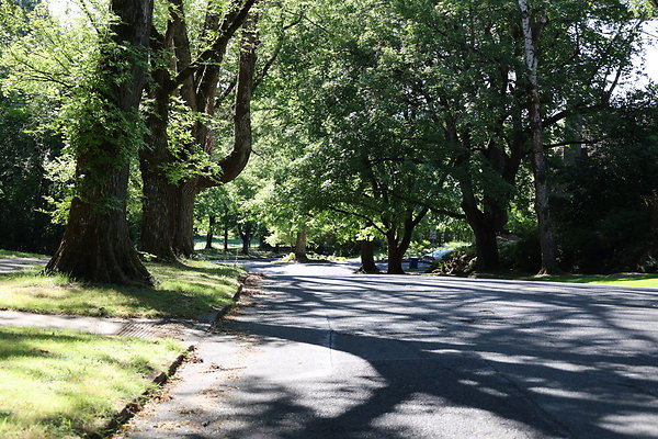 Crystal Springs NS 026