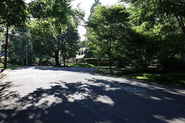 Crystal Springs NS 091