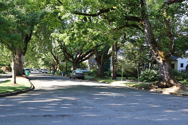 Crystal Springs NS 089