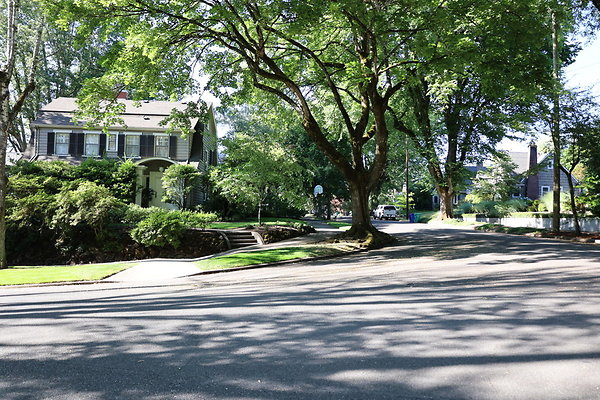 Crystal Springs NS 021