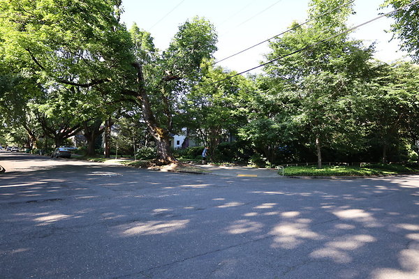 Crystal Springs NS 087