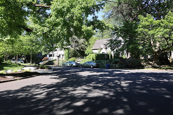 Crystal Springs NS 003