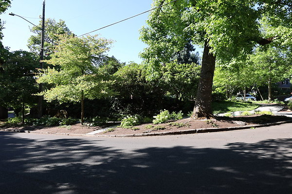 Crystal Springs NS 002