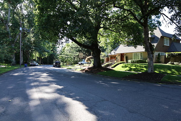 Crystal Springs NS 084