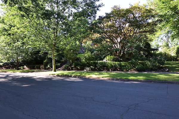 Crystal Springs NS 059