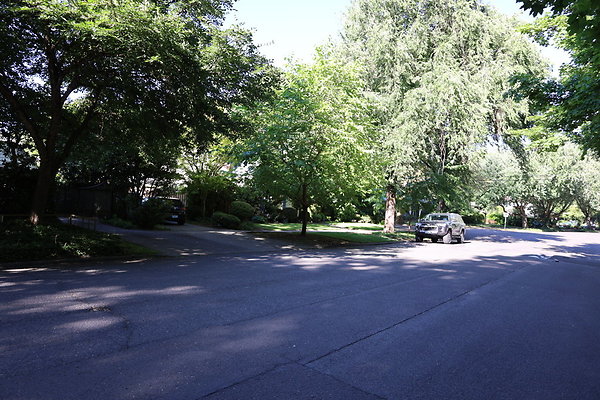 Crystal Springs NS 094