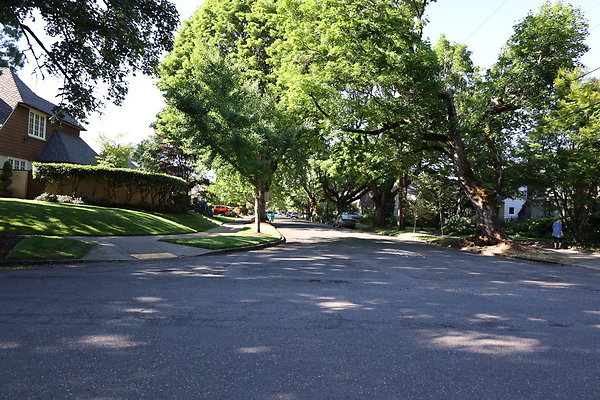 Crystal Springs NS 086