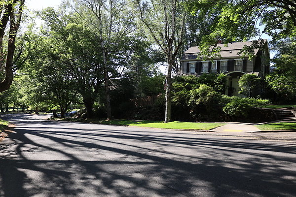 Crystal Springs NS 020