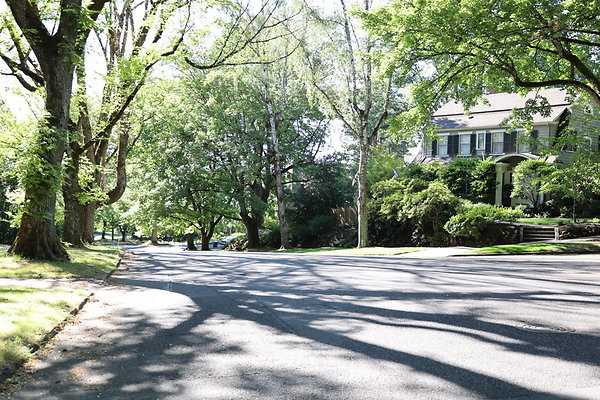 Crystal Springs NS 025