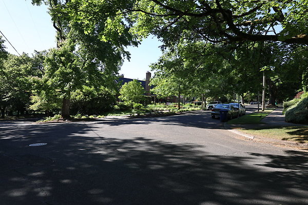 Crystal Springs NS 007