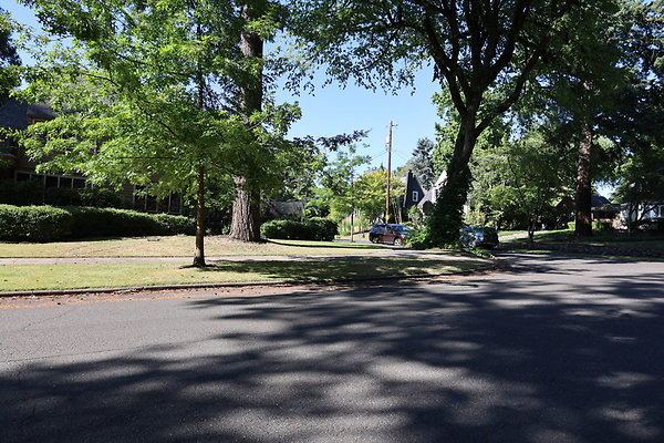 Crystal Springs NS 046