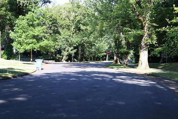 Crystal Springs NS 032