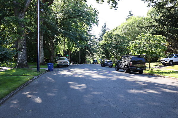 Crystal Springs NS 078