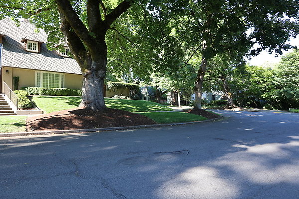 Crystal Springs NS 081