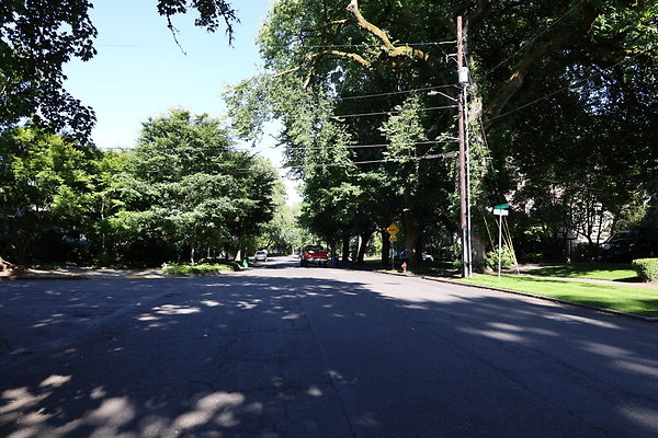 Crystal Springs SS 012