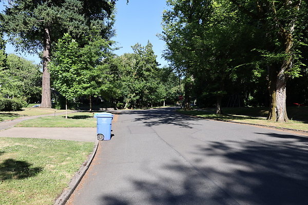 Crystal Springs SS 051