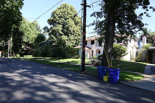 Crystal Springs SS 023