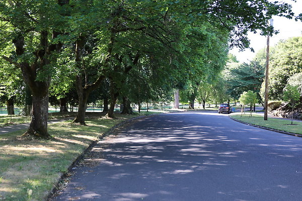 Crystal Springs SS 082